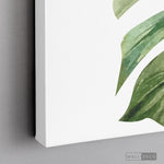 Cargar imagen en el visor de la galería, Cuadro Botánico BALAZO - WalldecóStore