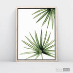 Cargar imagen en el visor de la galería, Cuadro Botánico PALMERA - WalldecóStore