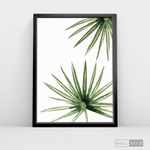 Cargar imagen en el visor de la galería, Cuadro Botánico PALMERA - WalldecóStore