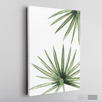 Cargar imagen en el visor de la galería, Cuadro Botánico PALMERA - WalldecóStore