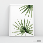 Cargar imagen en el visor de la galería, Cuadro Botánico PALMERA - WalldecóStore