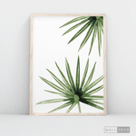 Cargar imagen en el visor de la galería, Cuadro Botánico PALMERA - WalldecóStore