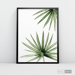 Cargar imagen en el visor de la galería, Cuadro Botánico PALMERA - WalldecóStore