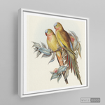 Cargar imagen en el visor de la galería, Cuadro Aves Perico Australiano