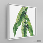 Cargar imagen en el visor de la galería, Cuadro Botánico Musa Paradisiaca