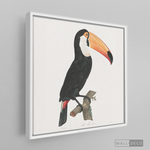 Cargar imagen en el visor de la galería, Cuadro Aves Tucan Colombiano 3