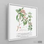 Cargar imagen en el visor de la galería, Tríptico Botánico Botany (set x 3)