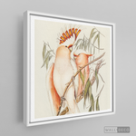 Cargar imagen en el visor de la galería, Cuadro Aves Cacatua Australiana