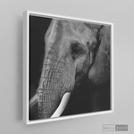 Cargar imagen en el visor de la galería, Cuadro Animales Elefante B/N