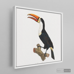 Cargar imagen en el visor de la galería, Cuadro Aves Tucan Colombiano 1