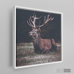 Cargar imagen en el visor de la galería, Cuadro Animales Ciervo Rojo (A)