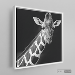 Cargar imagen en el visor de la galería, Cuadro Animales Jirafa B/N