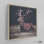 Cargar imagen en el visor de la galería, Cuadro Animales Ciervo Rojo (A)
