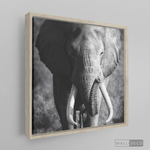 Cargar imagen en el visor de la galería, Cuadro Animales Elefante Real B/N