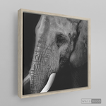 Cargar imagen en el visor de la galería, Cuadro Animales Elefante B/N