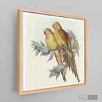 Cargar imagen en el visor de la galería, Cuadro Aves Perico Australiano