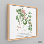 Cargar imagen en el visor de la galería, Tríptico Botánico Botany (set x 3)