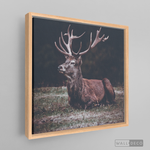 Cargar imagen en el visor de la galería, Cuadro Animales Ciervo Rojo (A)