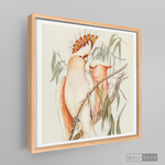 Cargar imagen en el visor de la galería, Cuadro Aves Cacatua Australiana