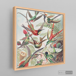 Cargar imagen en el visor de la galería, Cuadro Aves Colibríes