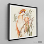 Cargar imagen en el visor de la galería, Cuadro Aves Cacatua Australiana