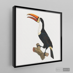 Cargar imagen en el visor de la galería, Cuadro Aves Tucan Colombiano 1