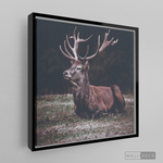 Cargar imagen en el visor de la galería, Cuadro Animales Ciervo Rojo (A)