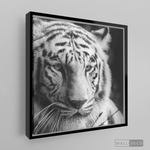 Cargar imagen en el visor de la galería, Cuadro Animales Tigre Blanco B/N