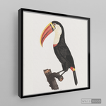 Cargar imagen en el visor de la galería, Cuadro Aves Tucan Colombiano 2