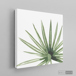 Cargar imagen en el visor de la galería, Tríptico Botánico - WalldecóStore