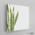 Cargar imagen en el visor de la galería, Tríptico Natural - WalldecóStore