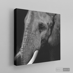 Cargar imagen en el visor de la galería, Cuadro Animales Elefante B/N