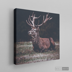 Cargar imagen en el visor de la galería, Cuadro Animales Ciervo Rojo (A)