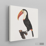 Cargar imagen en el visor de la galería, Cuadro Aves Tucan Colombiano 2