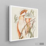 Cargar imagen en el visor de la galería, Cuadro Aves Cacatua Australiana