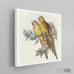 Cargar imagen en el visor de la galería, Cuadro Aves Perico Australiano