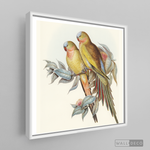 Cargar imagen en el visor de la galería, Cuadro Aves Perico Australiano