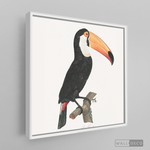 Cargar imagen en el visor de la galería, Cuadro Aves Tucan Colombiano 3