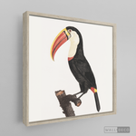 Cargar imagen en el visor de la galería, Cuadro Aves Tucan Colombiano 2