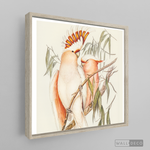 Cargar imagen en el visor de la galería, Cuadro Aves Cacatua Australiana