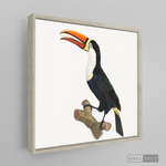 Cargar imagen en el visor de la galería, Cuadro Aves Tucan Colombiano 1