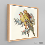 Cargar imagen en el visor de la galería, Cuadro Aves Perico Australiano