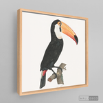 Cargar imagen en el visor de la galería, Cuadro Aves Tucan Colombiano 3