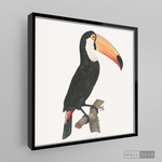 Cargar imagen en el visor de la galería, Cuadro Aves Tucan Colombiano 3