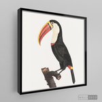 Cargar imagen en el visor de la galería, Cuadro Aves Tucan Colombiano 2