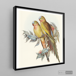 Cargar imagen en el visor de la galería, Cuadro Aves Perico Australiano