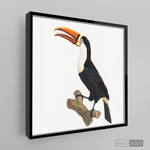 Cargar imagen en el visor de la galería, Cuadro Aves Tucan Colombiano 1