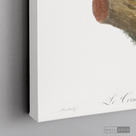 Cargar imagen en el visor de la galería, Cuadro Aves Tucan Colombiano 1