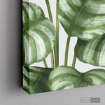 Cargar imagen en el visor de la galería, Cuadro Botánico GALATHEA - WalldecóStore