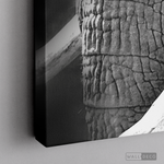 Cargar imagen en el visor de la galería, Cuadro Animales Elefante B/N